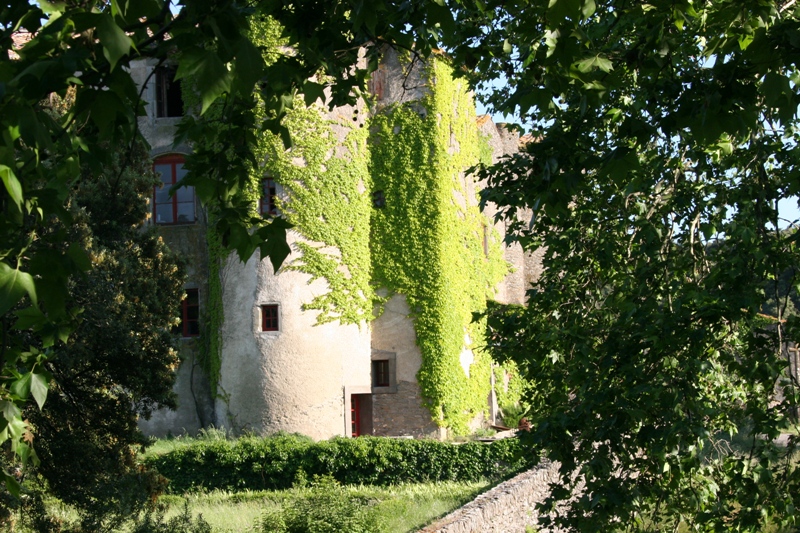 Chateau du XIIeme siecle avec vignoble