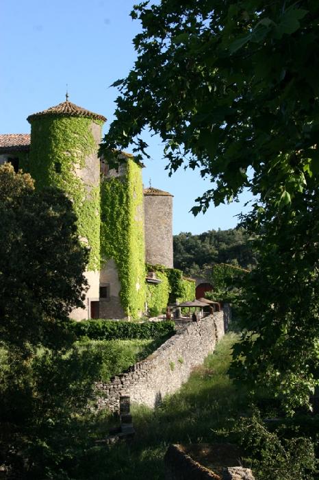 Chateau du XIIeme siecle avec vignoble