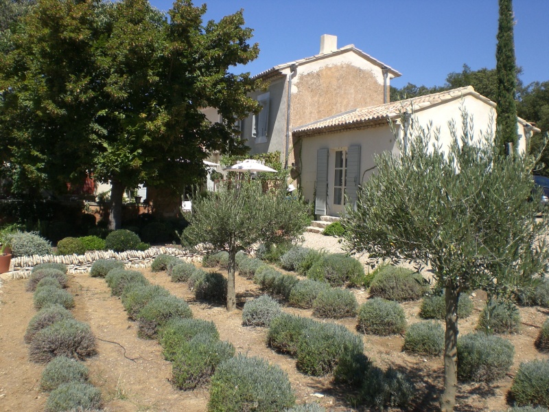 Gordes, mas XIXème superbement restauré