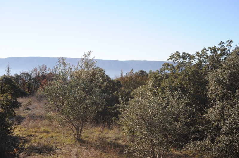 Un petit coin de paradis à 2 pas du village de Gordes