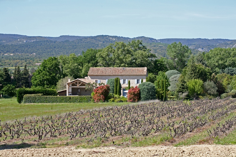 Gordes, authentique Mas avec vue sur le Luberon