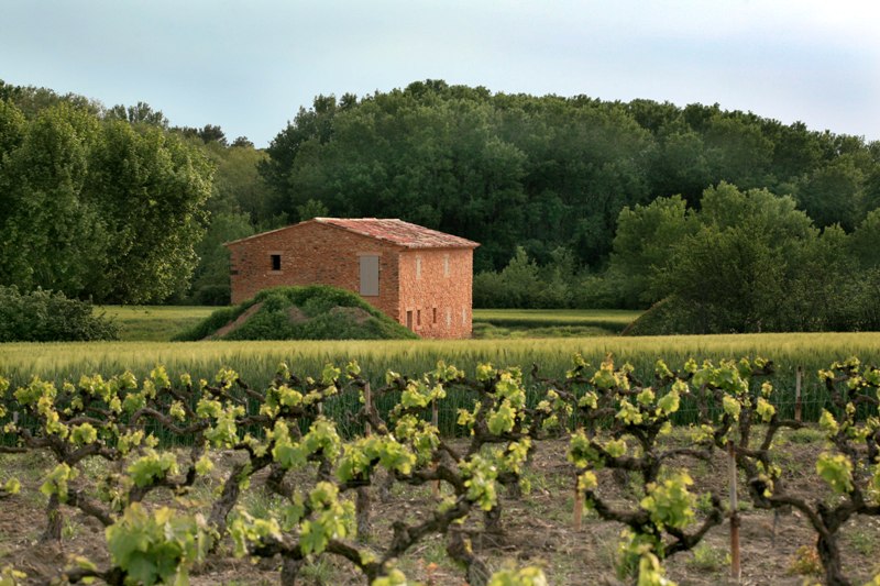 Mazet en Luberon en cours de rénovation avec platane centenaire