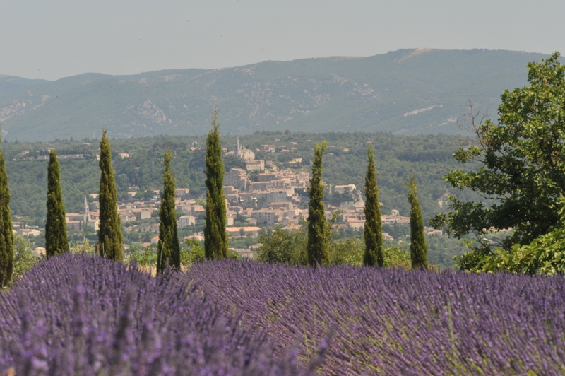 Luberon, bastide contemporaine, vues superbes  sur les lavandes et le village de Bonnieux