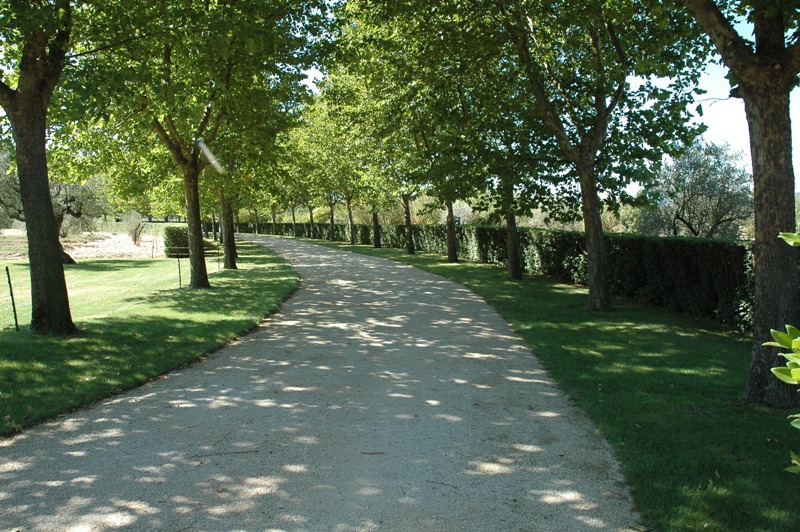 Propriété de charme en Luberon de 37 hectares