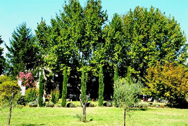 Mas XIXème restauré avec piscine en Vaucluse