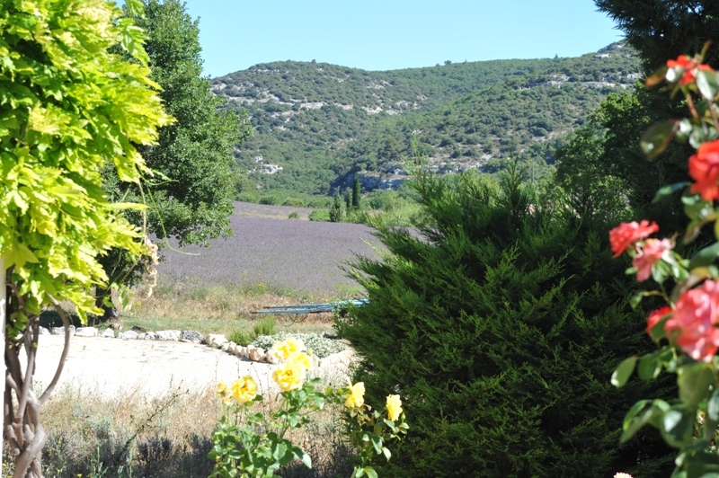 Luberon, maison en pierres avec piscine.