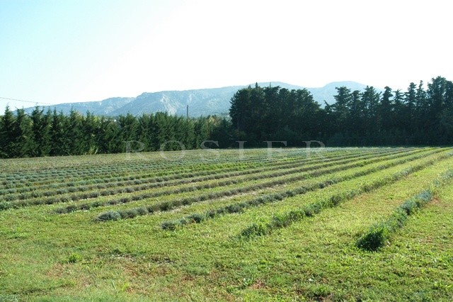A vendre en Luberon,  mas restauré, proche de Cavaillon  avec vue sur le Luberon.