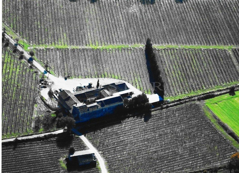 Domaine viticole  en Luberon  sur plus de 30 hectares