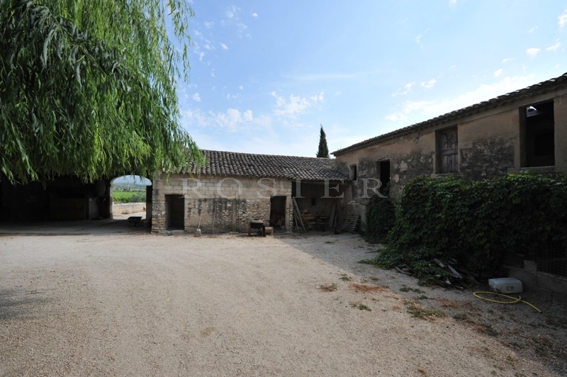 Domaine viticole  en Luberon  sur plus de 30 hectares
