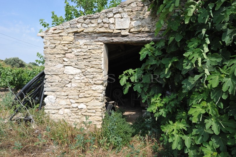 Domaine viticole  en Luberon  sur plus de 30 hectares