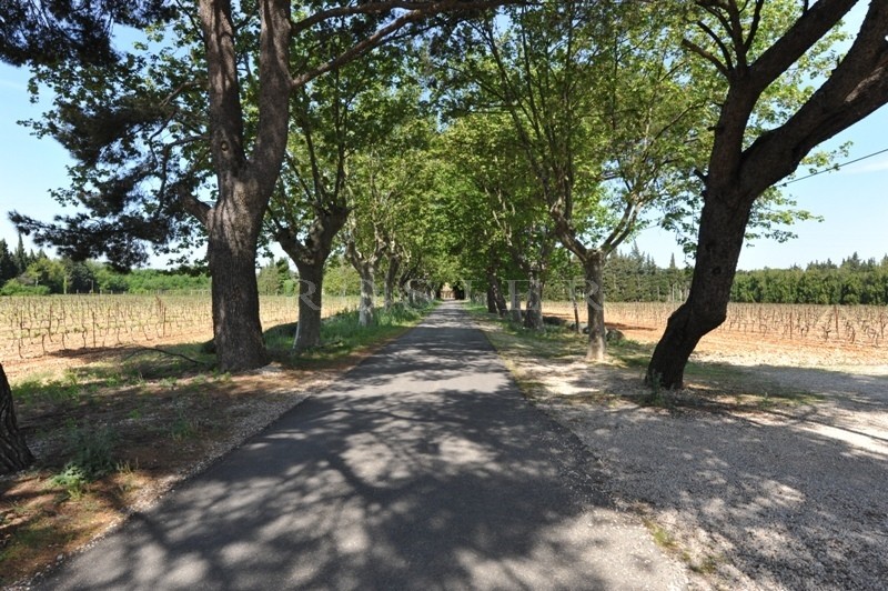 Domaine Viticole d'environ 60 hectares d'un seul tenant  à deux pas de Châteauneuf du Pape  