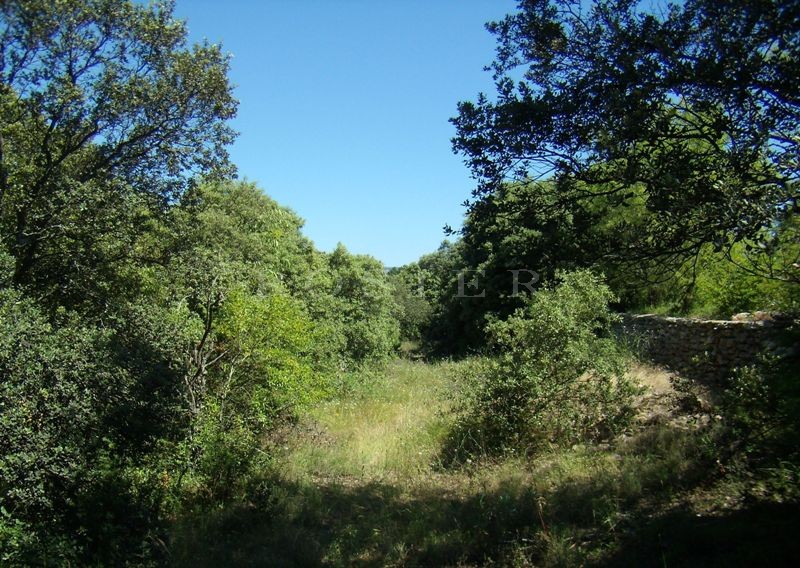 Superbe terrain constructible de plus de 4000 m² sur Gordes,  face au Luberon   