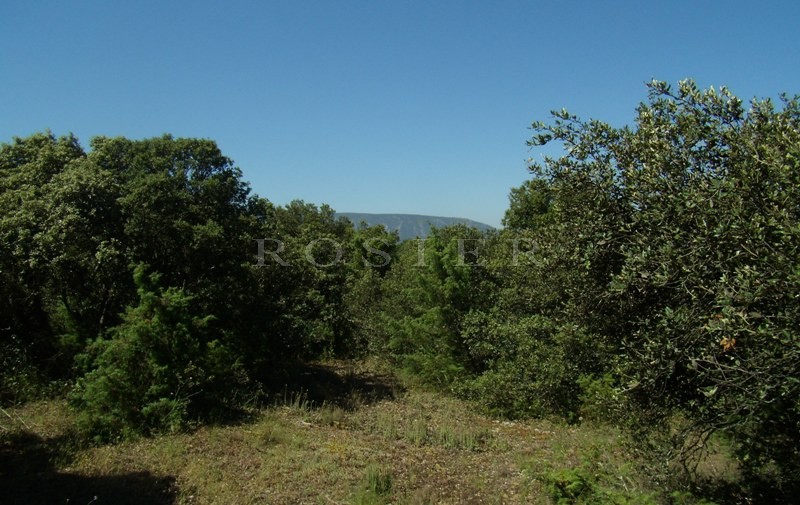 Superbe terrain constructible de plus de 4000 m² sur Gordes,  face au Luberon   