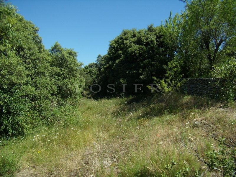 Superbe terrain constructible de plus de 4000 m² sur Gordes,  face au Luberon   