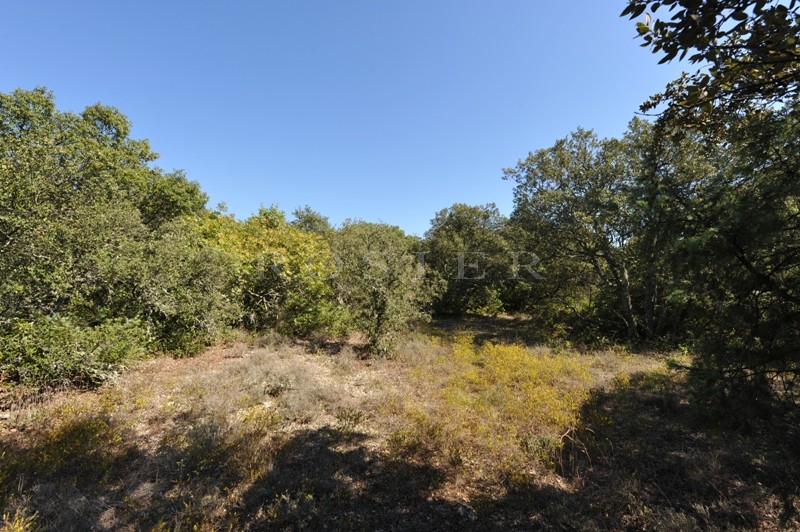 Superbe terrain constructible de plus de 4000 m² sur Gordes,  face au Luberon   