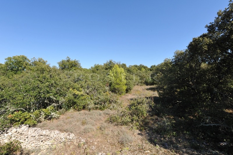 Superbe terrain constructible de plus de 4000 m² sur Gordes,  face au Luberon   