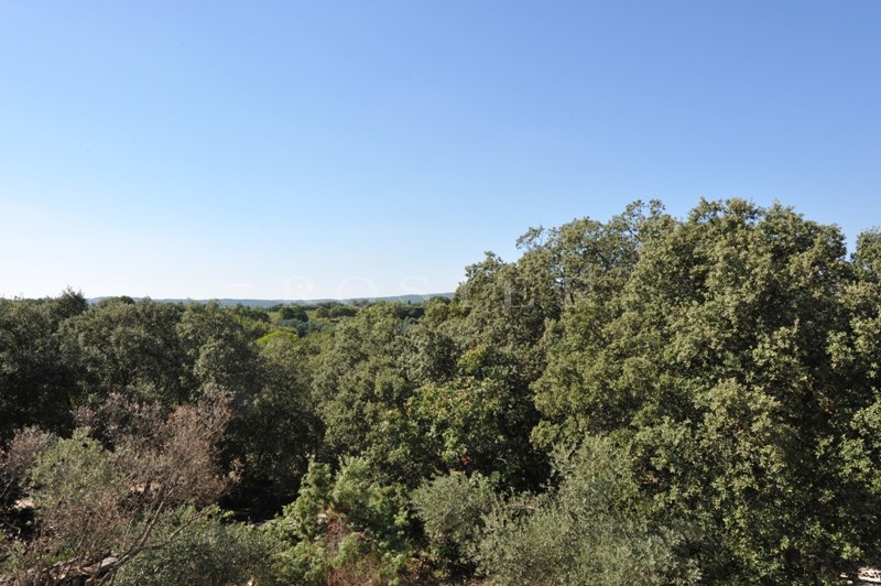 Superbe terrain constructible de plus de 4000 m² sur Gordes,  face au Luberon   