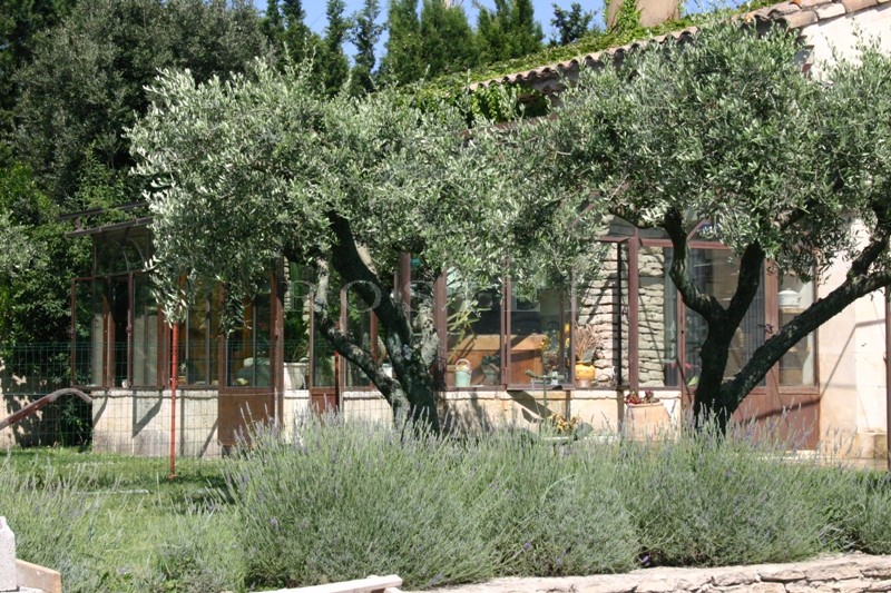 Maison de village avec piscine  entre Avignon et les Alpilles  