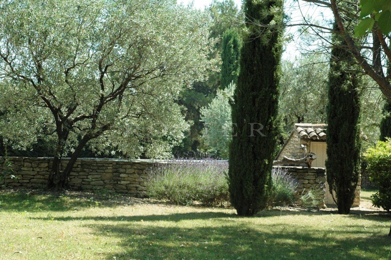 Authentique mas  face au Luberon en coeur de village 