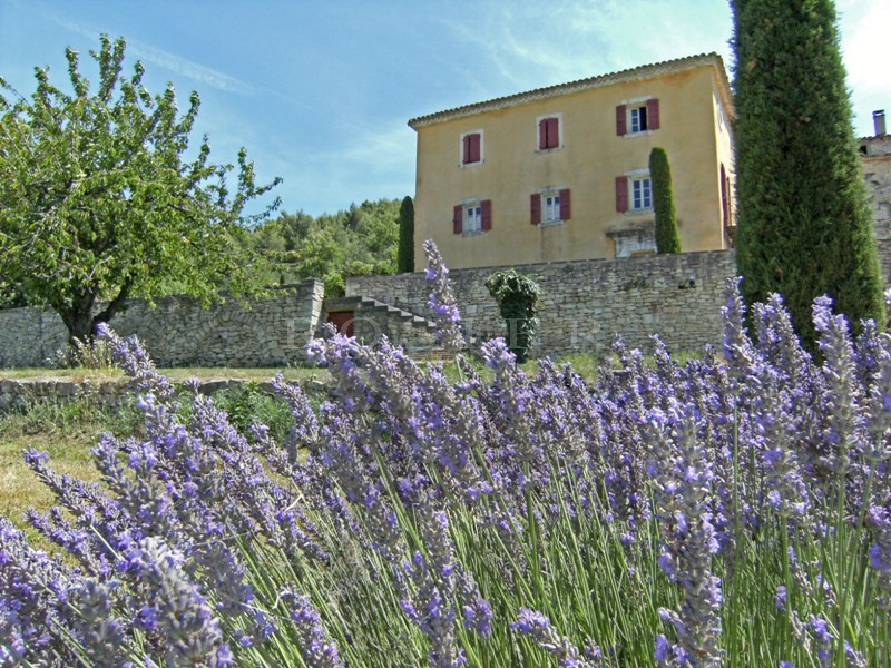 Très belle bastide provençale du 19ème siècle d'environ 400 m²  en Luberon  