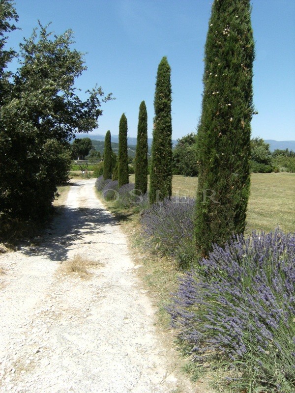 Très belle bastide provençale du 19ème siècle d'environ 400 m²  en Luberon  