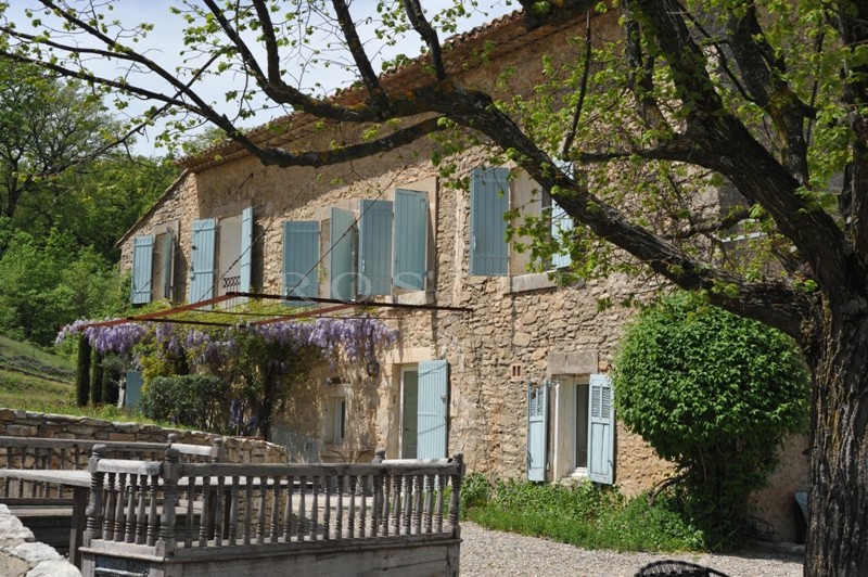 Authentique mas à l'orée d'un village perché  du Luberon  