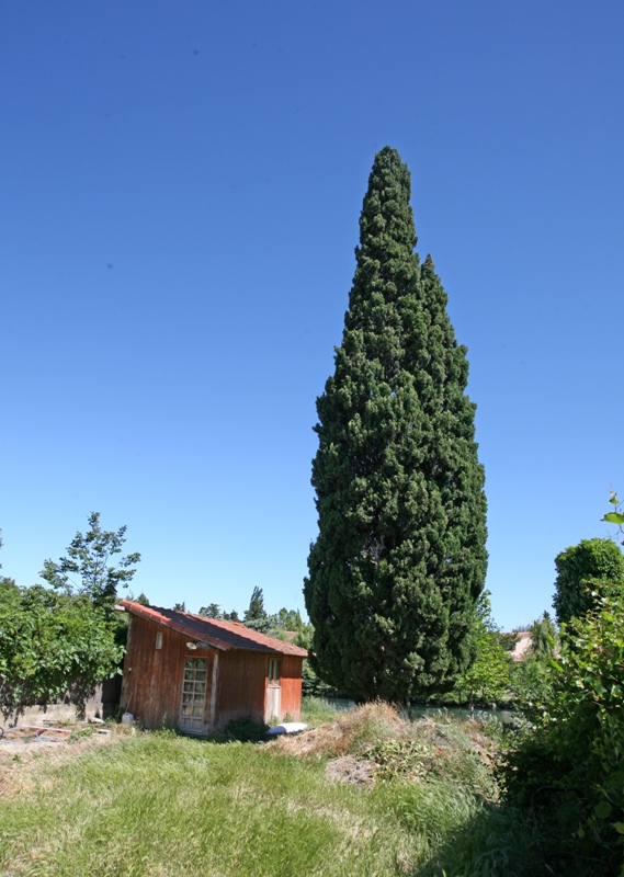 Maison bourgeoise  en bord de Sorgue  