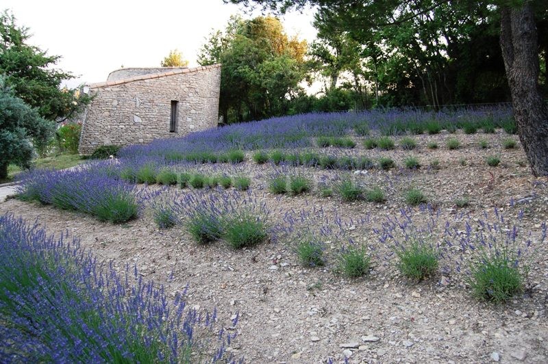 Maison revêtue de pierres sèches dans un hameau du Luberon  