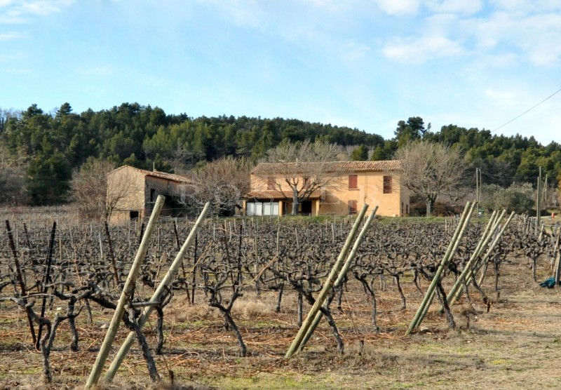 Mas ancien à restaurer avec annexe face au Luberon  au millieux des vignes