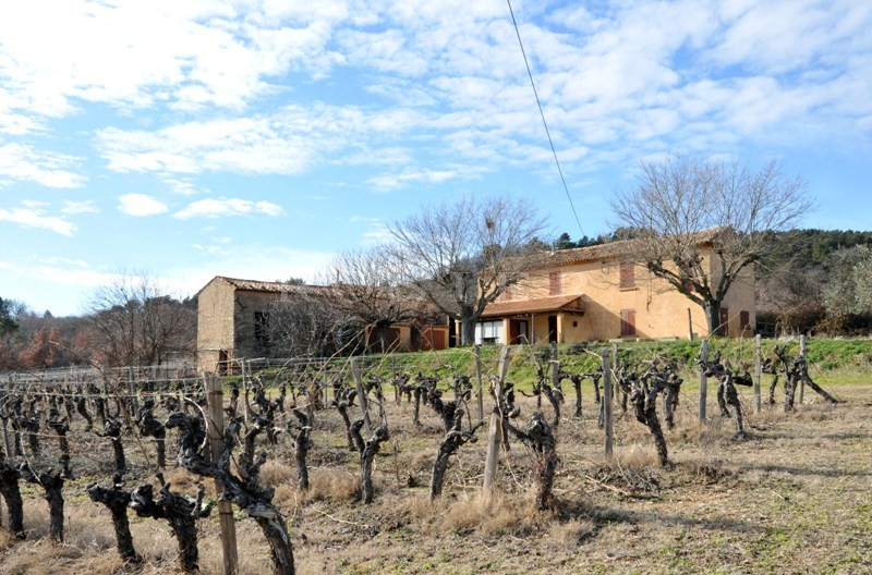Mas ancien à restaurer avec annexe face au Luberon  au millieux des vignes