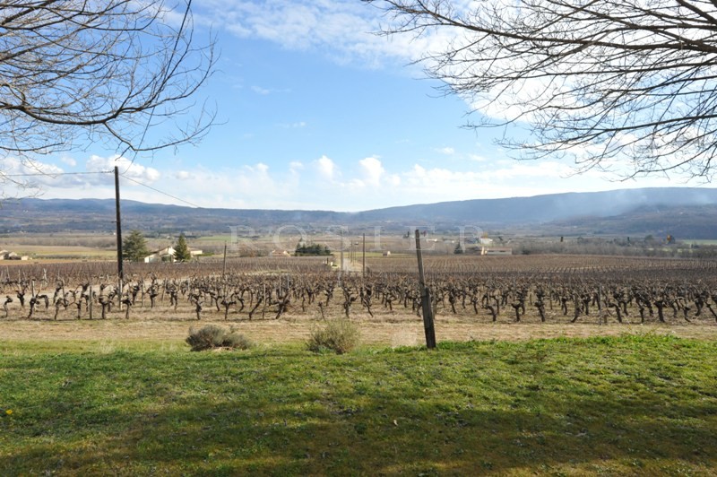 Mas ancien à restaurer avec annexe face au Luberon  au millieux des vignes