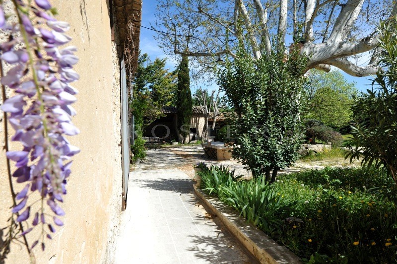 Mas Rénové  en Luberon,  avec piscine et dépendances, sur plus de deux hectares