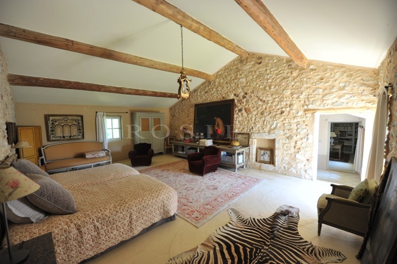 Mas ancien plein de charme en Luberon sur plus de 3 hectares 