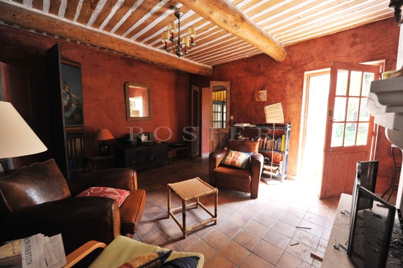 Jolie maison de village au coeur du Luberon,  avec jardin et bassin