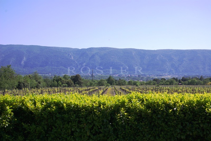 Mas XVIIIe rénové  au coeur de la vallée du Luberon,  avec piscine et gites   
