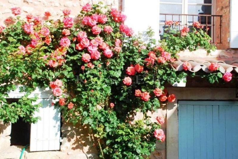 Mas ancien plein de charme   en Luberon