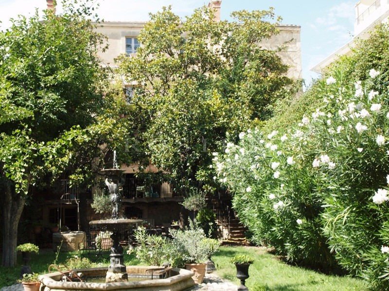 En Provence,entre Alpilles et Luberon,  luxueux hôtel particulier à vendre, avec terrasse et jardin,   