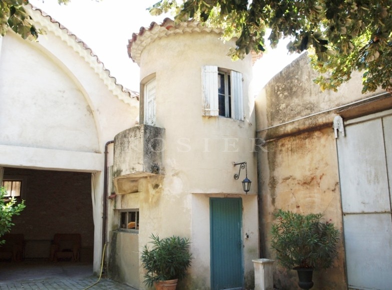 En Provence,entre Alpilles et Luberon,  luxueux hôtel particulier à vendre, avec terrasse et jardin,   