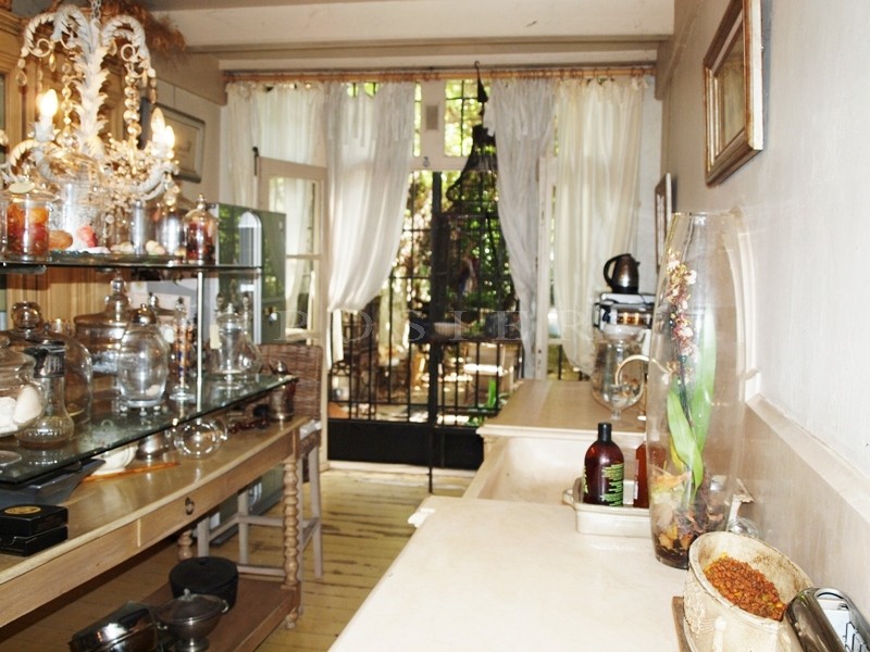En Provence,entre Alpilles et Luberon,  luxueux hôtel particulier à vendre, avec terrasse et jardin,   