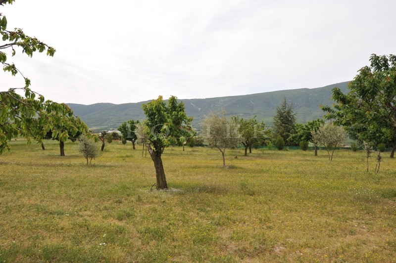 Provence, Luberon, à vendre, propriété en position dominante avec une belle maison en pierres et des dépendances sur un parc de 50 hectares 