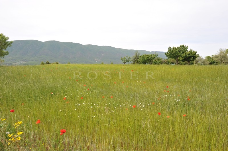 Provence, Luberon, à vendre, propriété en position dominante avec une belle maison en pierres et des dépendances sur un parc de 50 hectares 