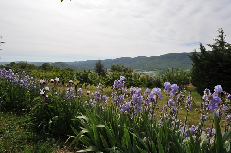 Provence, Luberon, à vendre, propriété en position dominante avec une belle maison en pierres et des dépendances sur un parc de 50 hectares 
