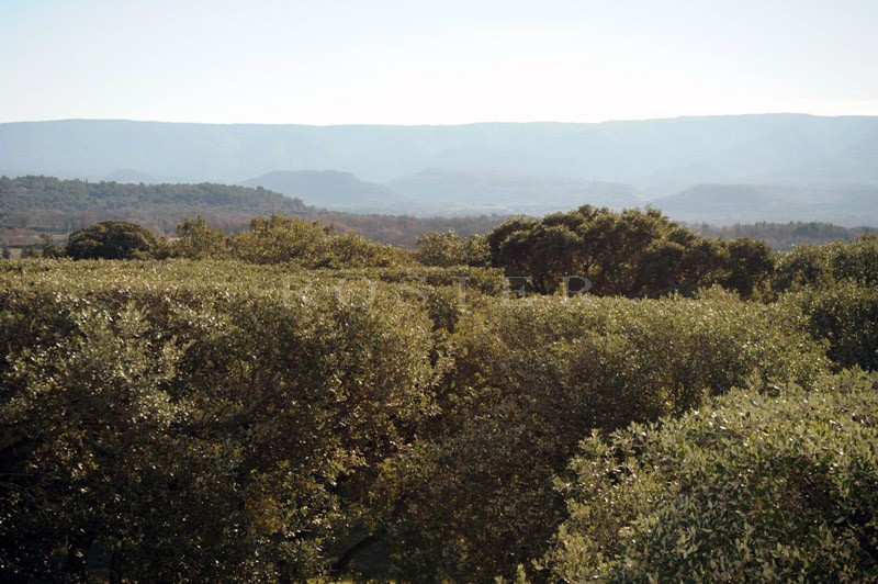 A vendre en Luberon,  propriété d'agrément en U exposée Sud, avec dépendances et piscine bénéficiant d'une superbe vue sur la vallée et le Luberon