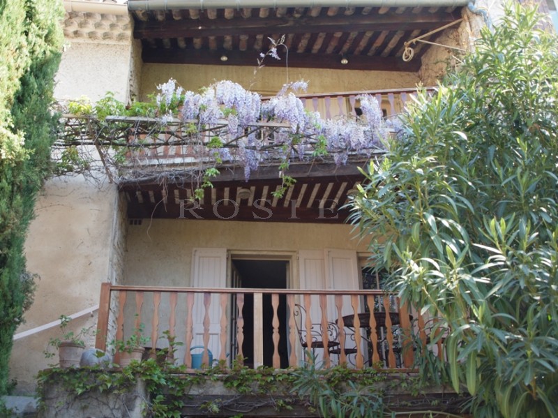 Au coeur d'un agréable village du Luberon, Maison de charme avec jardin  