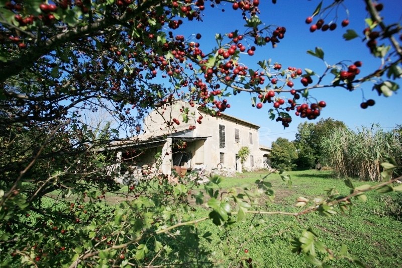 Luberon, en campagne, mas à restaurer, sur environ 5.000 m² de terrain   