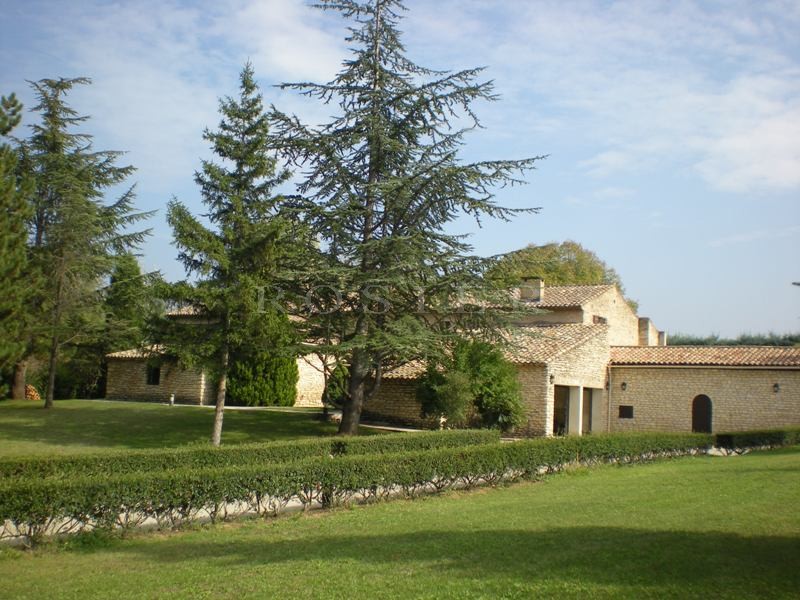 A vendre dans le Luberon par ROSIER,  authentique mas provençal ancien rénové et agrémenté d'une belle terrasse,  d'une piscine dans un parc de 7 900 m² 