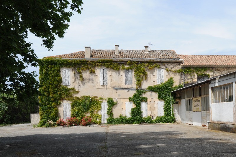 Proche antiquaires et commerces, superbe maison de maître avec piscine et dépendances   