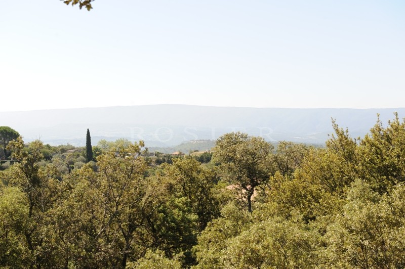 A Gordes, en vente,  viager occupé, authentique mazet provençal avec jardin  