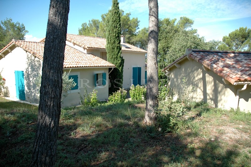 Pays des Sorgues, en vente,  plaisante maison sous les pins avec piscine  