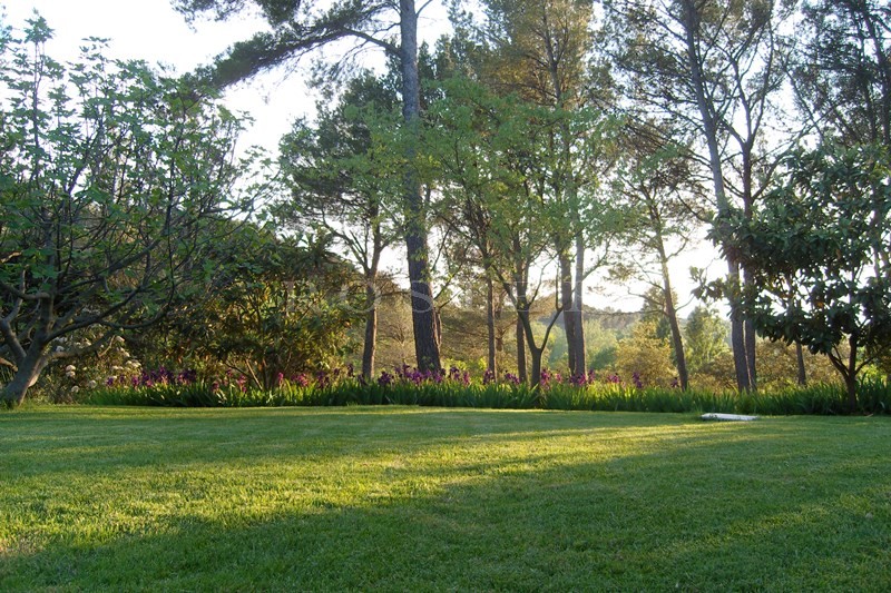 Pays des Sorgues, en vente,  plaisante maison sous les pins avec piscine  